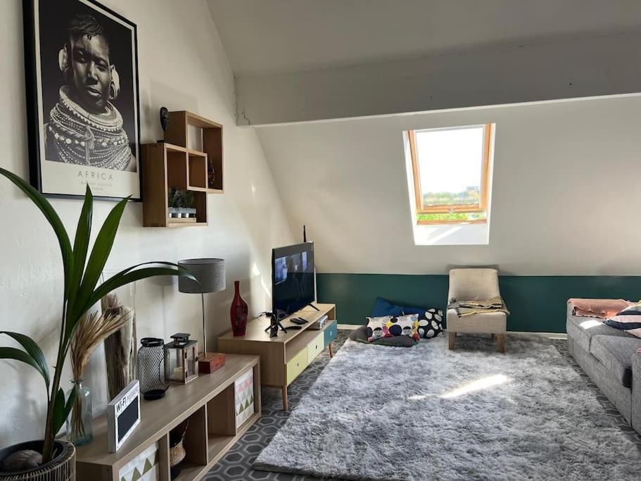 Duplex Cocoooning Apartment Amiens
